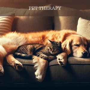 PET THERAPY: Sleep Music, Binaural Beats for Dogs & Cats, Sleep Disorders - Animal Melody Wizard