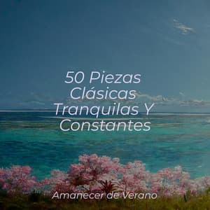 50 Piezas Clásicas Tranquilas Y Constantes - Spa