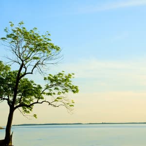 Waterscape Harmony: A Melodic Flow of Serenity - Water Science