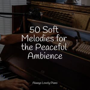 50 Comforting Sounds for Peace and Relaxation - Piano Relajante