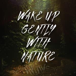 Wake Up Gently with Nature - Calm Nature Oasis
