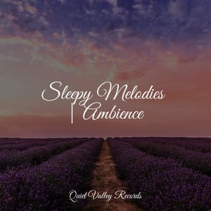 Sleepy Melodies | Ambience - Sleep Music System