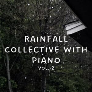 Rainfall Collective with Piano Vol. 2 - Classical New Age Piano Music