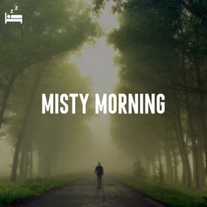 Misty Morning - Relaxing Therapy Sounds