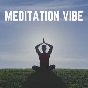 Meditation Vibe - Meditation Music Club