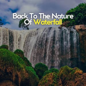 Back to the Nature of Waterfall - Waterfalling