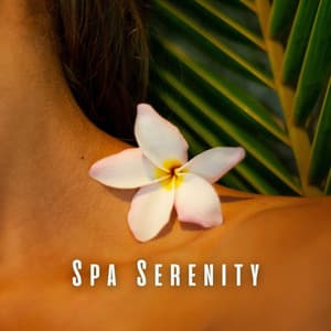Spa Serenity: Relaxing Sounds for Ultimate Bliss - Relaxing Music Orchestra