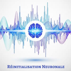 Ondes Zen Thêta pour une Réinitialisation Neuronale - Zen Méditation Ambiance