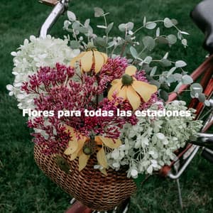 Flores para todas las estaciones - Evening Jazz Chill