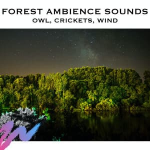 Forest Ambience Sounds - Serene Rose