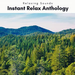 2 0 2 2 Instant Relax Anthology - Mindful Measures