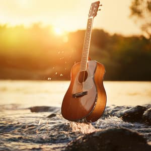 Stream Flow Relaxation: Guitar Tunes - Guitar Resonance