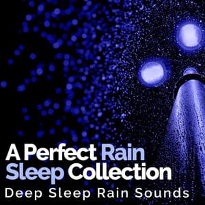 A Perfect Rain Sleep Collection - Deep Sleep Rain Sounds