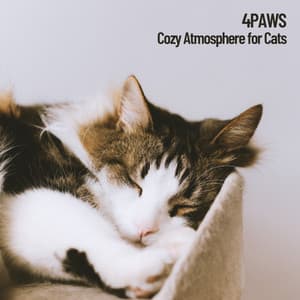 4Paws: Cozy Atmosphere for Cats, because they need it too - Binaural Sleepy Beats