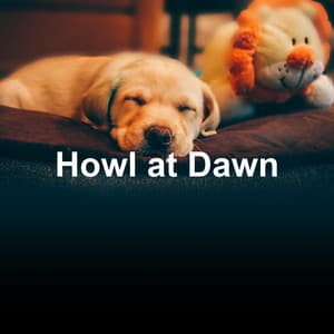 Howl at Dawn - Music for Dog's Ear