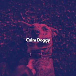 Calm Doggy - Jazz Alegre para Cafés