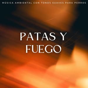 Patas Y Fuego: Música Ambiental Con Tonos Suaves Para Perros - Sonidos de fuego de resplandor brillante