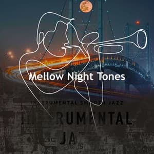 Mellow Night Tones - Soft Jazz Background Music