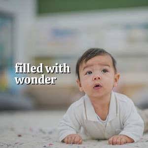 Filled with Wonder - Mozart and Baby Friends