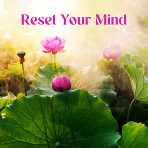 Reset Your Mind - Hypnotic Therapy Music Consort