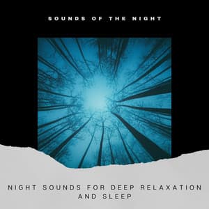 Night Sounds for Deep Relaxation and Sleep - Sounds of the Night