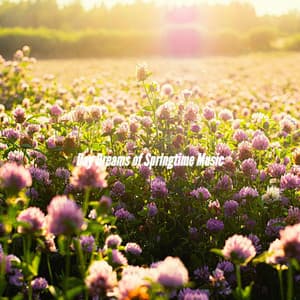 Day Dreams of Springtime Music - Jazz Connections for Reading