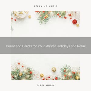 Tweet and Carols for Your Winter Holidays and Relax - Calming Sounds