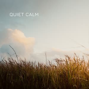 Quiet Calm - Decidic FX