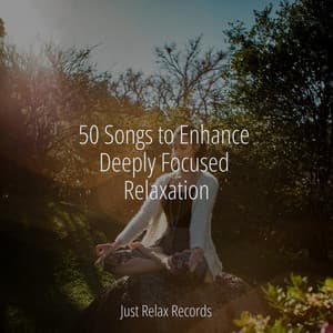 50 Songs to Enhance Deeply Focused Relaxation - Musica para Dormir Dream House