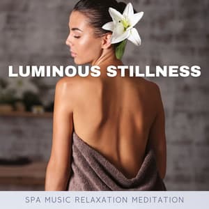 Luminous Stillness: Relaxing Spa Massage - Spa Music Relaxation Meditation
