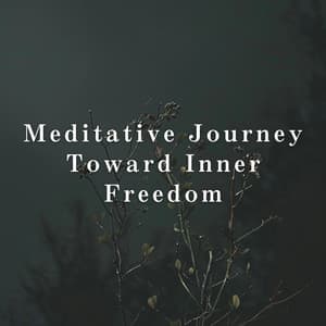 Meditative Journey – Toward Inner Freedom - Relax α Wave