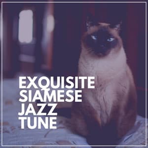 Exquisite Siamese Jazz Tune - Jazz Instrumental Chill