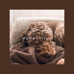 チルアウト・パップ - Bossa Nova Jazz