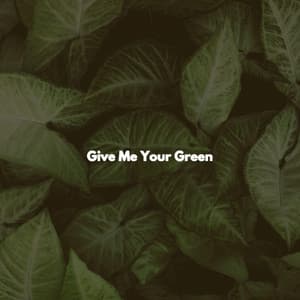 Give Me Your Green - #Calming