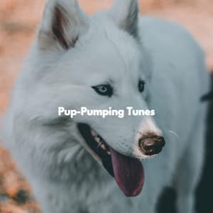 Pup-Pumping Tunes - Calm Acoustic Cafe Music