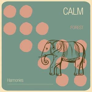Calm Forest Harmonies - Asian Spa Music Meditation