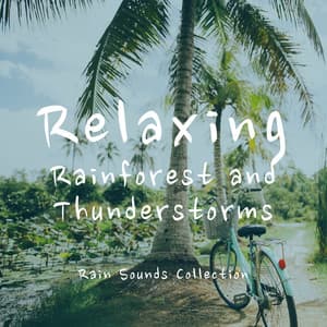 Relaxing Rainforest and Thunderstorms - Rain Sounds Collection