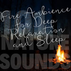 Fire Ambience for Deep Relaxation and Sleep - 101 Nature Sounds