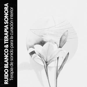 Ruido Blanco & Terapia Sonora: Terapia de sonido para la curación interior - Ruido Blanco Hart
