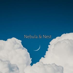 Nebula & Nest - Minds United