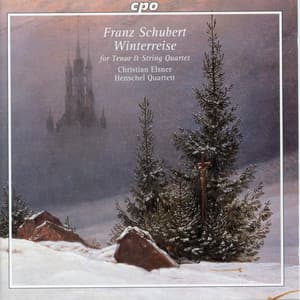 Schubert: Winterreise, Op. 89, D. 911 - Franz Schubert