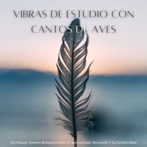 Vibras De Estudio Con Cantos De Aves: Un Paisaje Sonoro Relajante Para El Aprendizaje Mejorado Y La Creatividad - Naturaleza y sonidos de pájaros
