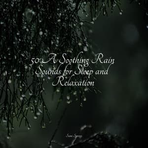 50 A Soothing Rain Sounds for Sleep and Relaxation - Sleep Waves