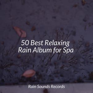 50 Best Relaxing Rain Album for Spa - Rising Higher Meditation