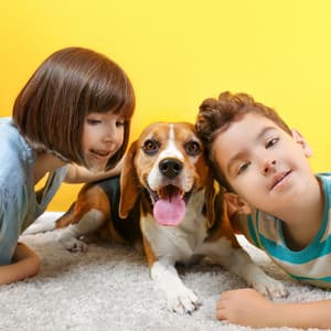 Woof Jazz Echoes: Piano for Doggy Companions - Peaceful Piano Jazz