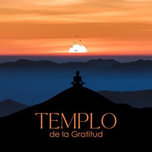 Templo de la Gratitud - Soham Hari