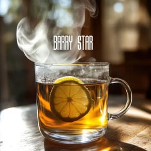 Lemon Morning - Barry Star