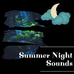 Summer Night Sounds - Night Sounds Channel