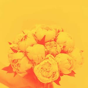 Backdrop for Top Hours - Unwind Jazz Relax