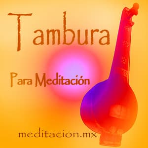 Tambura Para Meditacion - Meditacion.Mx